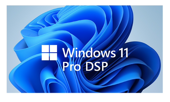 Microsoft Windows 11 Professional 64-bit DSP Operating System